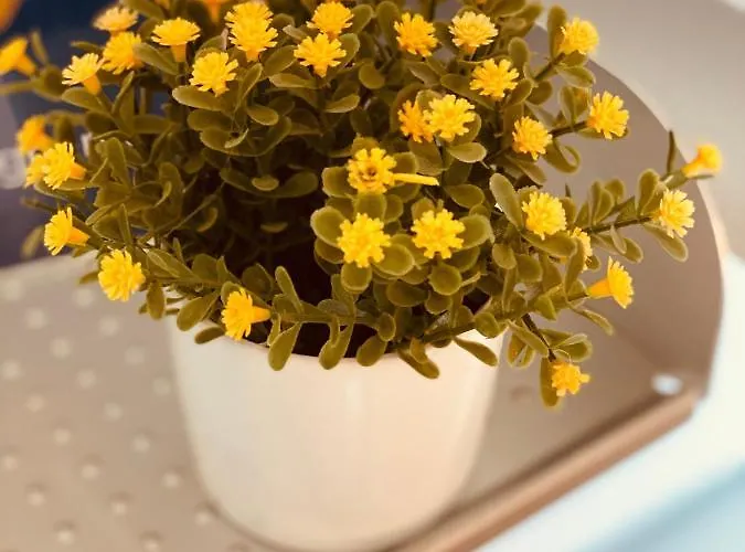 Villino Margherita Oda ve Kahvaltı 3*