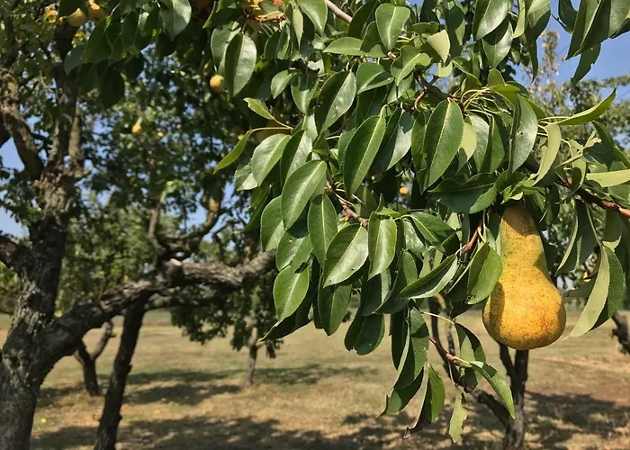 Villino Margherita Oda ve Kahvaltı