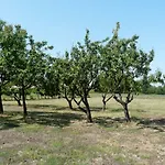 Villino Margherita