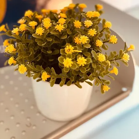 Villino Margherita B&B 3*