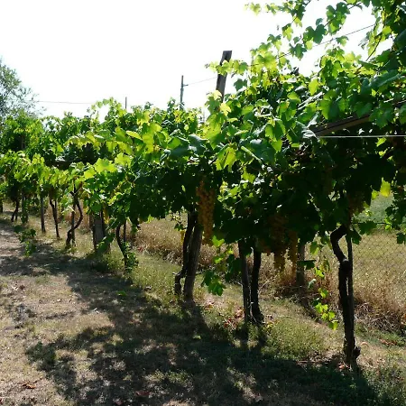Villino Margherita San Lazzaro di Savena