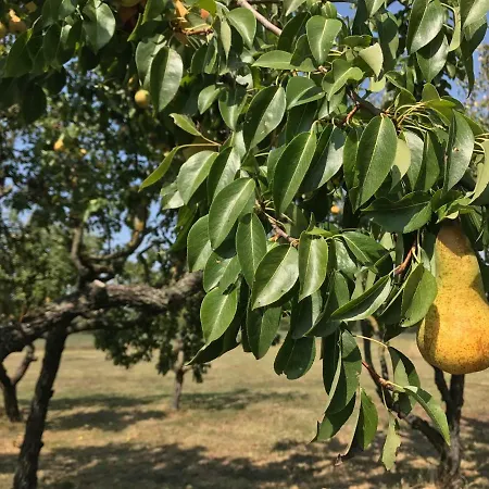 Villino Margherita Bed and Breakfast