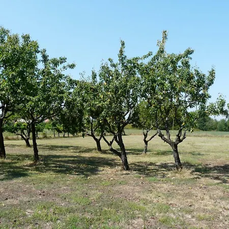Villino Margherita